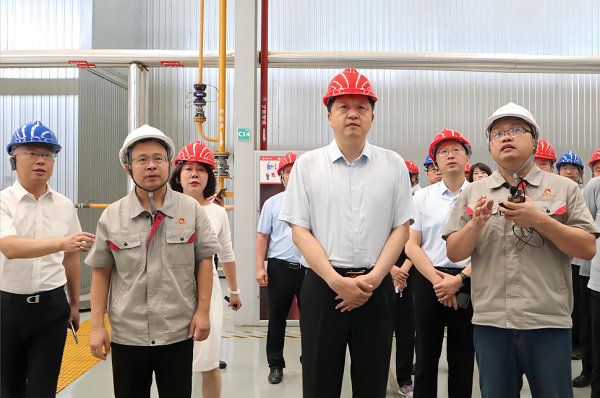 領導現場觀摩中集凌宇 領導現場觀摩中集凌宇